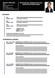 Formato de Curriculum Vitae para Rellenar