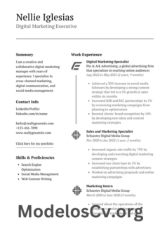 Plantillade CV Ideal