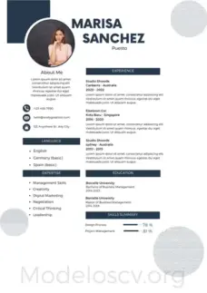 Modelo de Curriculum Sin Experiencia