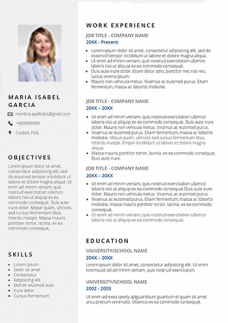 Modelo de Curriculum Vitae en Inglés para Word 