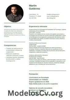 Modelo de curriculum universitario