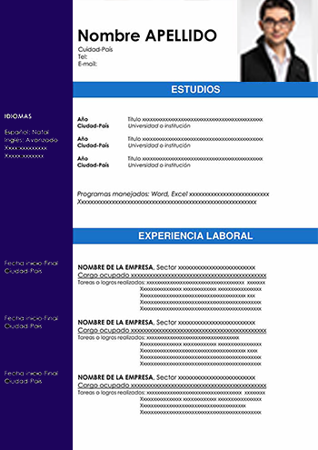 Plantilla De Curriculum Vitae Cronológico Gratis | Ejemplo CV ?