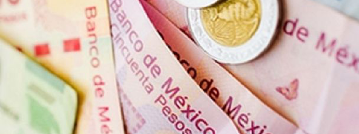 Salario Mínimo en México