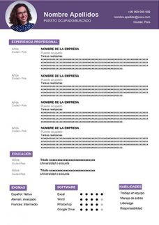 Curriculum para heladería