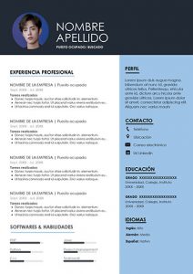 Currículum Informático 2023: Ejemplos Y Consejos Para Destacar En El ...