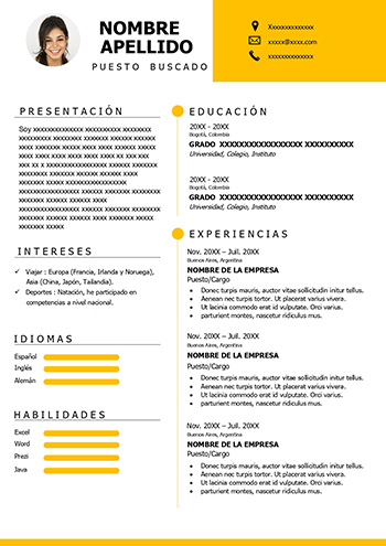 Curriculum para Carrefour Argentina