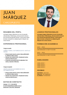 curriculum para mercado libre