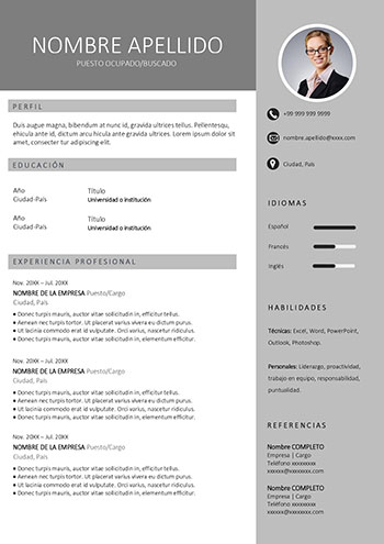 Modelo de Curriculum Vitae Profesional Gris