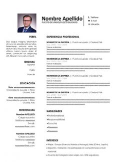 Ejemplo de Curriculum Vitae Clásico Negro