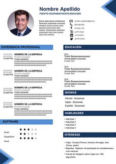 Ejemplo de Currículum Infografía