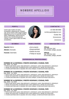 Modelo de Curriculum Vitae Único