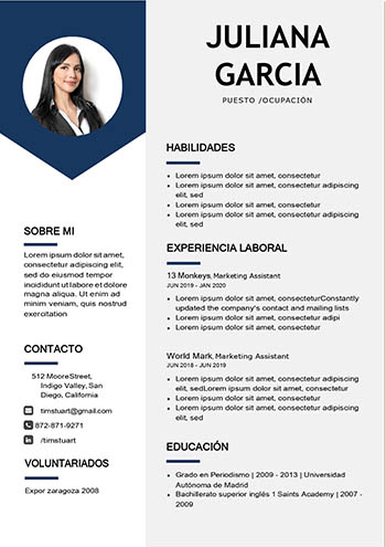 Curriculum vitae 2023 Chile