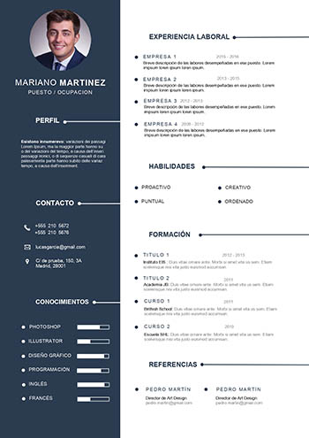 Curriculum vitae chileno
