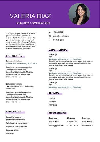 Modelo de curriculum vitae chileno en word para editar