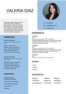 CV para practicas profesionales